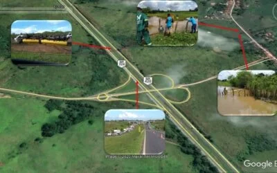 VIABAHIA e IBAMA promovem simulado virtual de atendimento à ocorrência ambiental